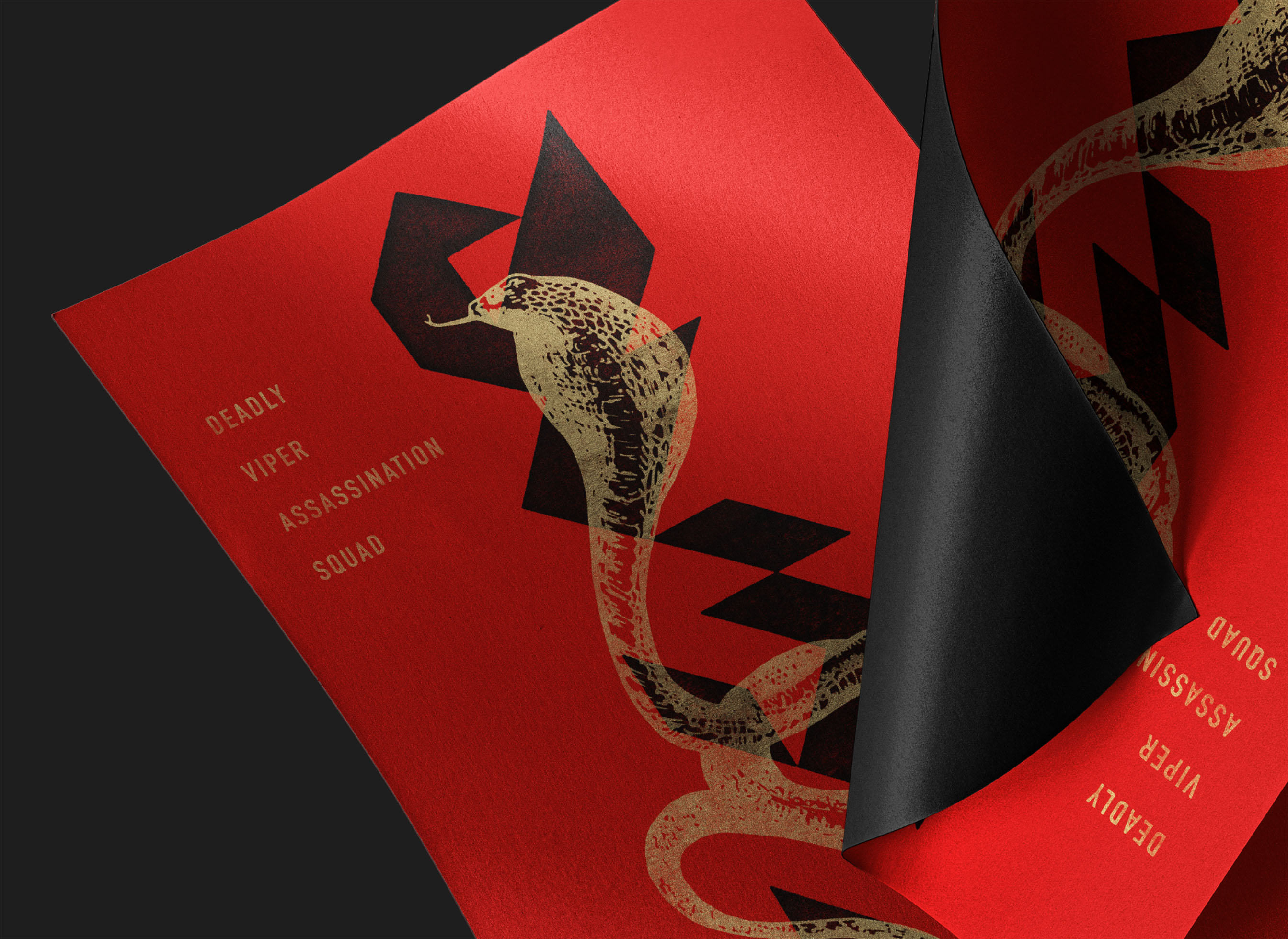 DVAS roller derby identity featuring bold geometric typography and black-and-red graphics.