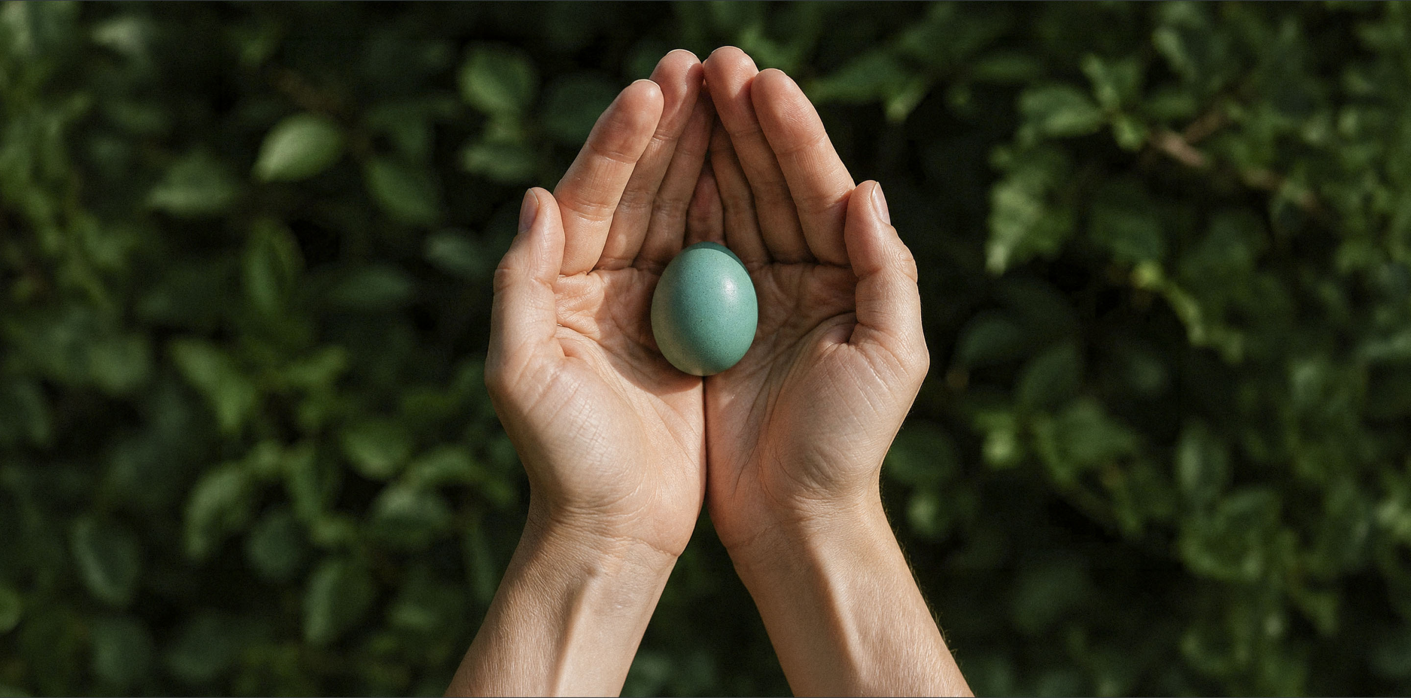 Hands holding a blue robin’s egg against a leafy green background.