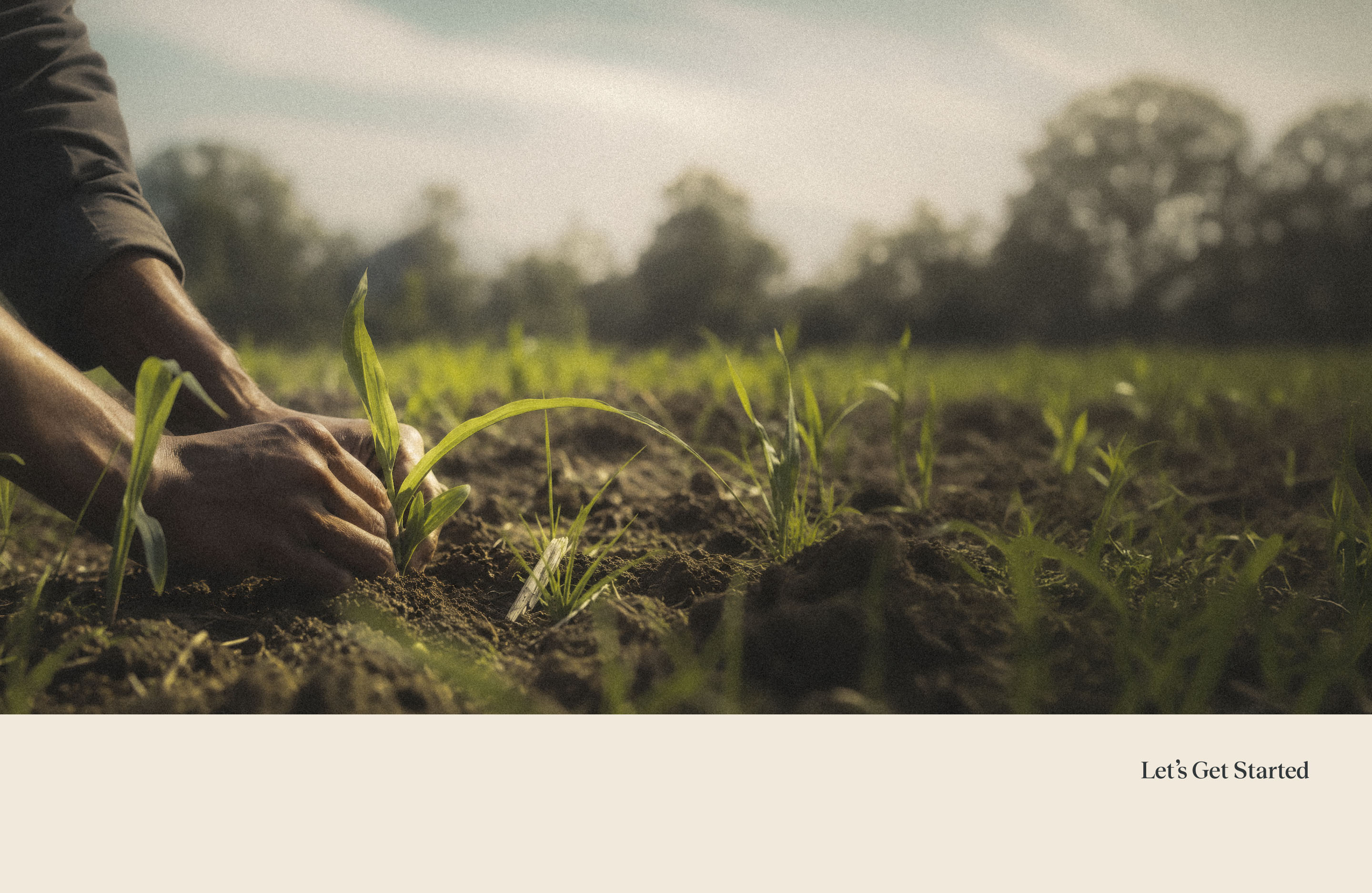YellowYellow poster featuring hands planting a seedling and the tagline Let’s Get Started.